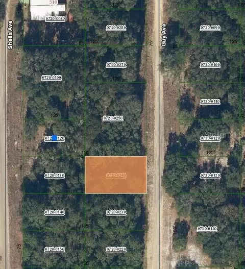 Guy Avenue, Interlachen, FL 32148