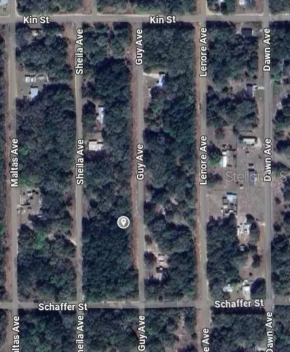 Guy Avenue, Interlachen, FL 32148 photo 2