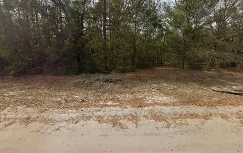 Guy Avenue, Interlachen, FL 32148 photo 3