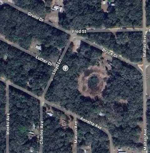 Lloyd Drive, Interlachen, FL 32148 photo 2