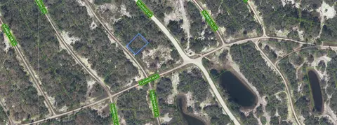 335 Summersweet Dr, Lake Placid, FL 33852