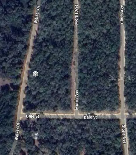 00 Walker Dr, Interlachen, FL 32148 photo 2