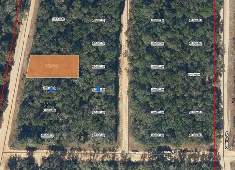 00 Walker Dr, Interlachen, FL 32148