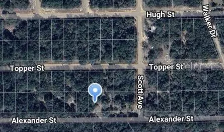 Alexander Street, Interlachen, FL 32148
