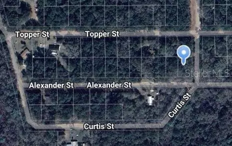 Alexander Street, Interlachen, FL 32148