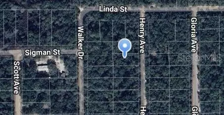 Henry Avenue, Interlachen, FL 32148