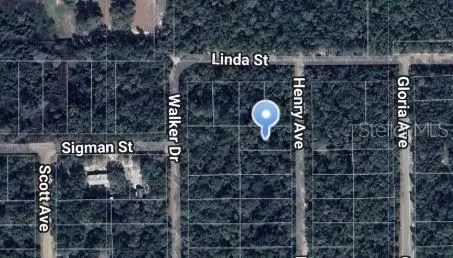 Henry Avenue, Interlachen, FL 32148