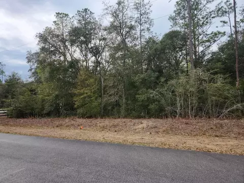 SW Hunter Hill Avenue, Dunnellon, FL 34431