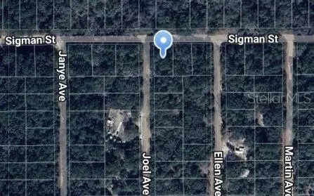 Joel Avenue, Interlachen, FL 32148