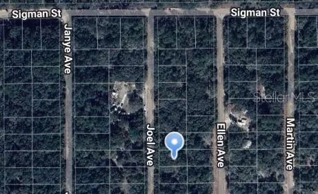 Joel Avenue, Interlachen, FL 32148