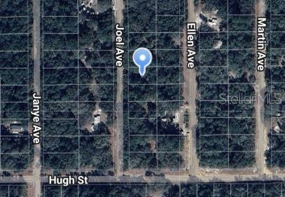 Joel Avenue, Interlachen, FL 32148 photo 1