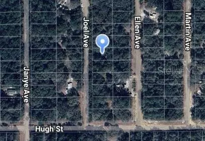 Joel Avenue, Interlachen, FL 32148