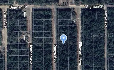 Donys Avenue, Interlachen, FL 32148