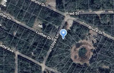 Lloyd Drive, Interlachen, FL 32148