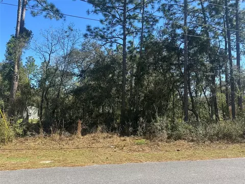 Undisclosed, Ocala, FL 34472