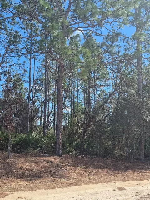 Sw 56th Lane, Ocala, FL 34481