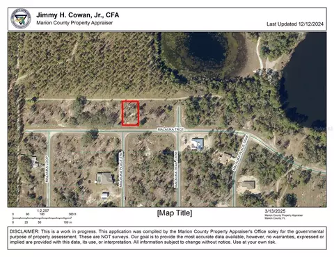 tbd Malauka Trce, Ocklawaha, FL 32179
