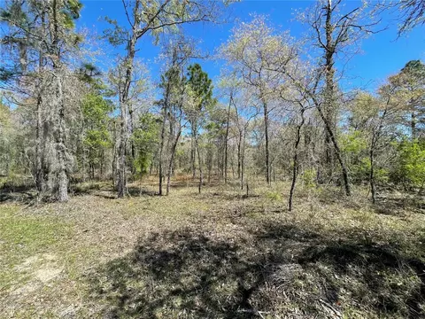 lot12 SE 117 Ter, Morriston, FL 32668