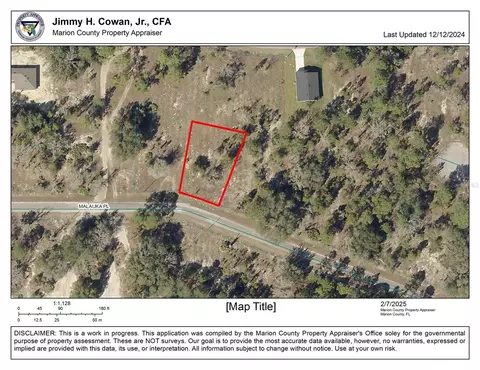tbd Malauka Pl, Ocklawaha, FL 32179