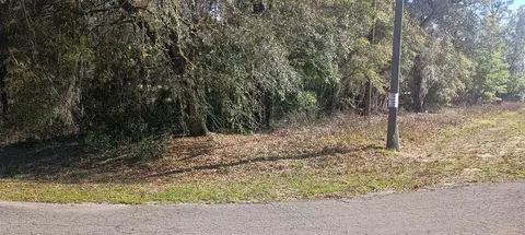 0 Guava Lane Trak #LOT 1, Ocklawaha, FL 32179