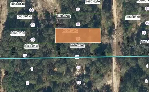 00 SW 55th Ave, Interlachen, FL 32148
