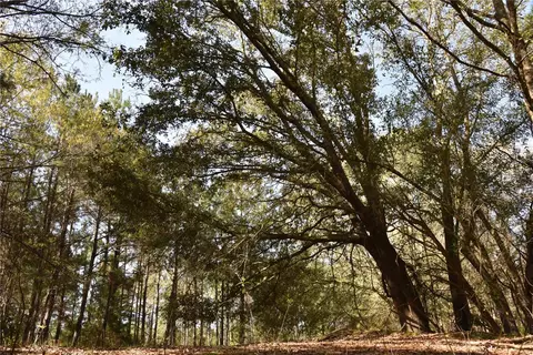 Us-301, Hawthorne, FL 32640