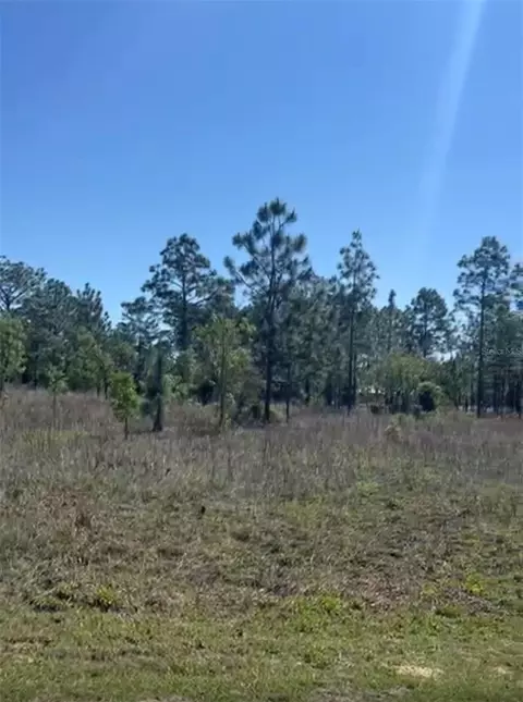 tbd SW Kerria Ct, Dunnellon, FL 34431