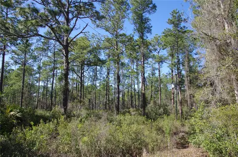 0 NE 67th Ave, Citra, FL 32113