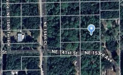 NE 153rd Avenue, Fort Mc Coy, FL 32134