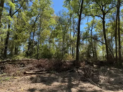 lot2526 SW 177th Ct, Dunnellon, FL 34432