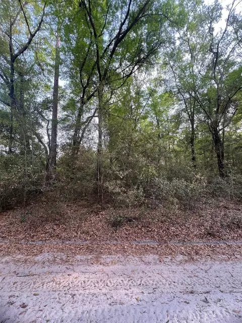 tbd SW 150 St, Dunnellon, FL 34432