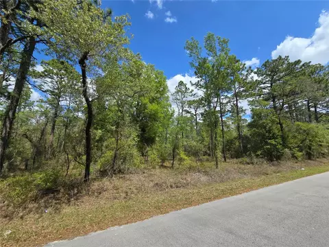 24345 NW Water Oak Ave, Dunnellon, FL 34431
