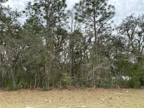 0 SW 75th Cir, Ocala, FL 34473