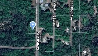 185 Th Ct, Ocklawaha, FL 32179