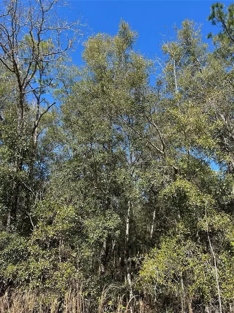 Tba SW 55th Street, Ocala, FL 34481