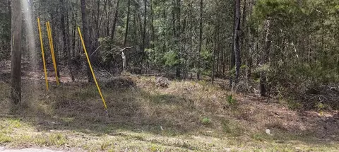 0 Fisher Ct #LOT 13, Ocklawaha, FL 32179