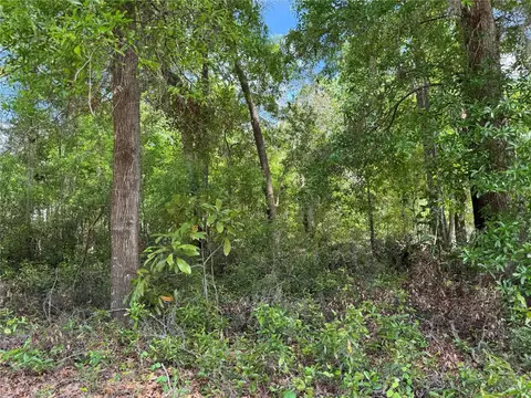 tbd SW Clearwater Ct, Dunnellon, FL 34431