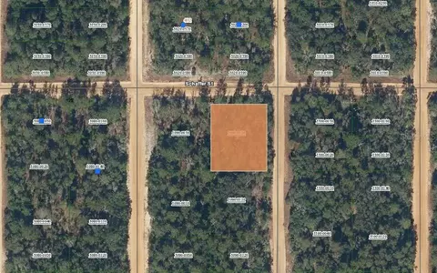00 Shappell Ave, Interlachen, FL 32148