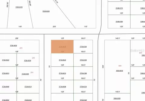 00 Lenore Ave, Interlachen, FL 32148 photo 2