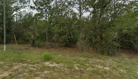 Ne 154th Ave #64, Williston, FL 32696