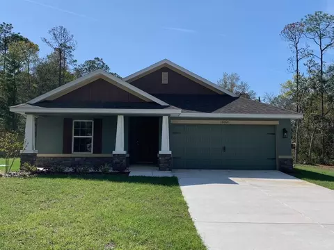 10060 N Carver Dr, Citrus Springs, FL 34434