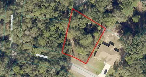 tbd Locust Run Ln, Ocala, FL 34472