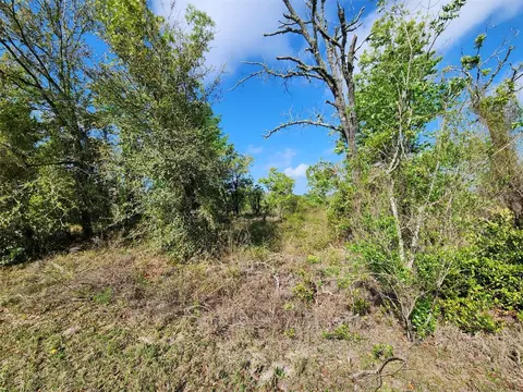 Oxalis Ct., Dunnellon, FL 34431