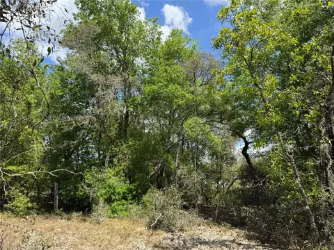 tbd SW Big Bear Rdg, Dunnellon, FL 34431