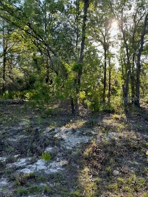 tbd Malauka Trl, Ocklawaha, FL 32179
