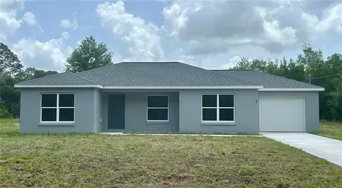 87 Guava Pass Dr, Ocklawaha, FL 32179