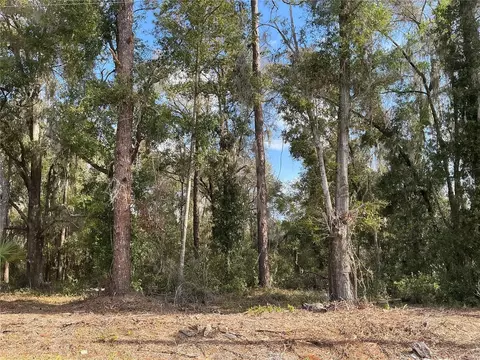 0 Locust Dr, Ocala, FL 34472