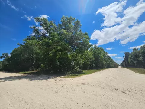 tbd NE 93rd Ter, Bronson, FL 32621