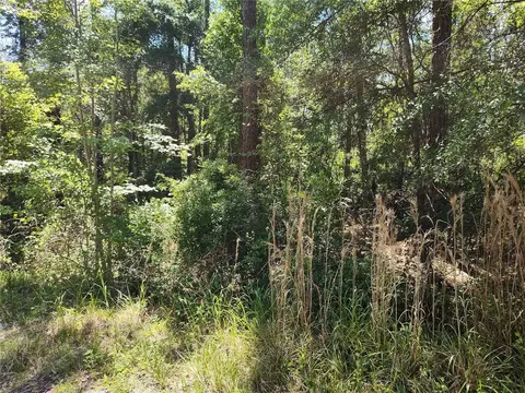 0000 NE 66th Ave, Citra, FL 32113