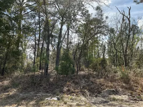 0 Locust Loop Crse, Ocala, FL 34472